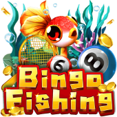 Câu Cá Bingo baogiaothong