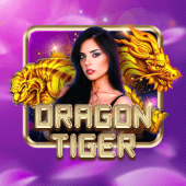 Rồng Hổ baogiaothong app